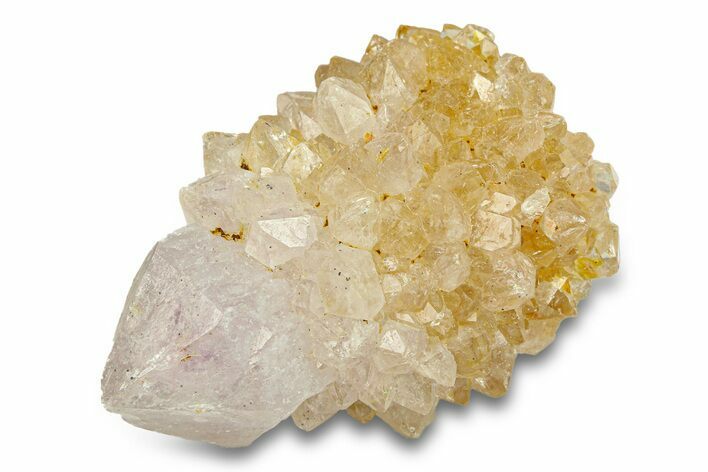 Sparkling Cactus Amethyst Crystal Cluster - South Africa #290226